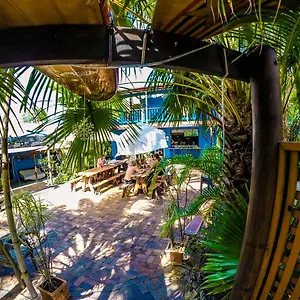 Cool Bananas Backpackers , Agnes Water Australien